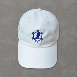 Pursue Adventure Dragon Dad Hat