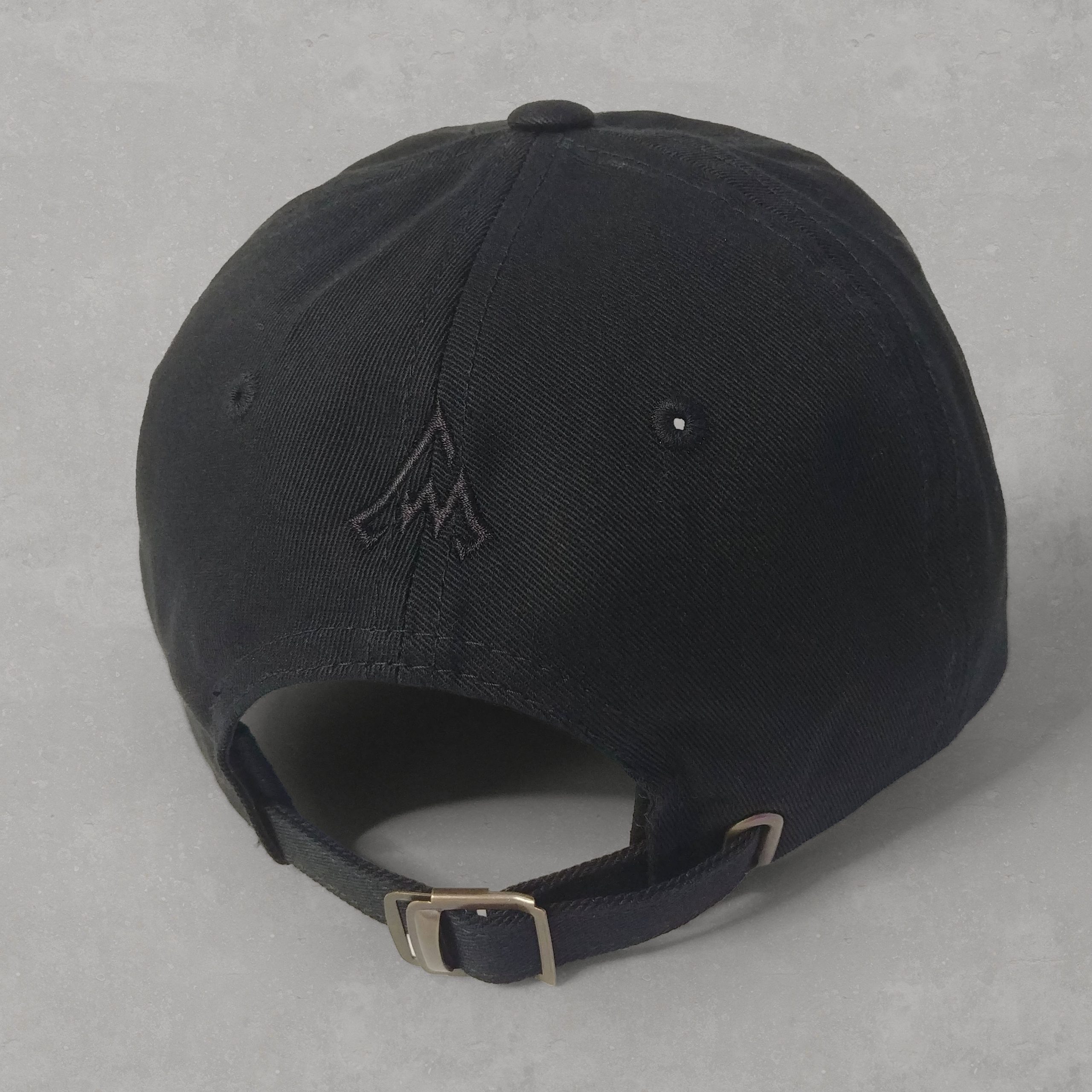 HYA Dad Hat - Black _back